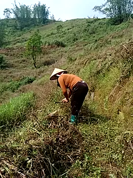 nelina 12345 online show from 25, 4, 2026