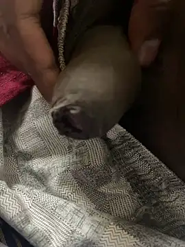 Magic Spell Tamil online show from 20, 2, 2026