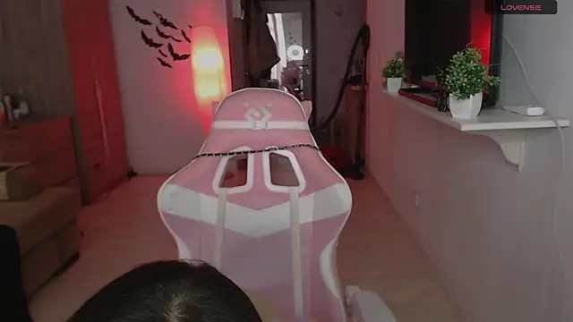 Snapshot of ShayL1sse chatting on 1, 3, 2026 ShayL1sse online show from 1, 3, 2026