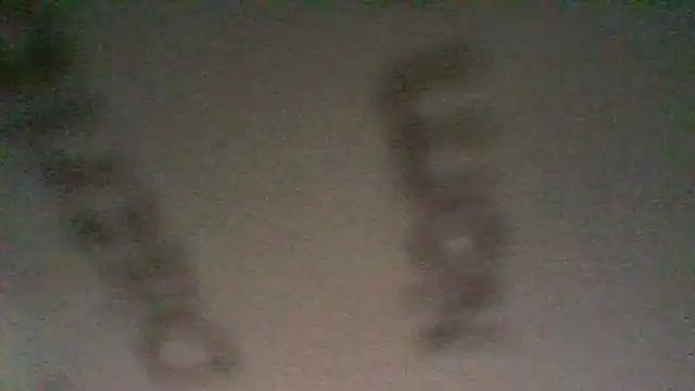 BonneQueueBonjour online show from 12, 3, 2026