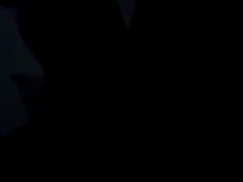 Milwokee online show from 23, 2, 2026