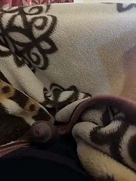 Snapshot of youngboywithcurvymilf chatting on 2, 3, 2026 youngboywithcurvymilf online show from 2, 3, 2026