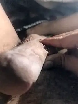 taherDzzf online show from 17, 4, 2026