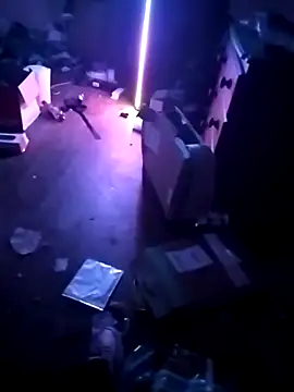 cexcitef online show from 3, 3, 2026