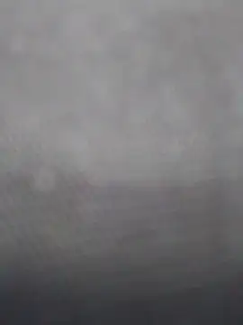 mar coral2 online show from 11, 3, 2026