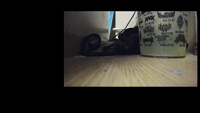 Snapshot of ts_dina chatting on 3, 3, 2026 ts dina online show from 3, 3, 2026