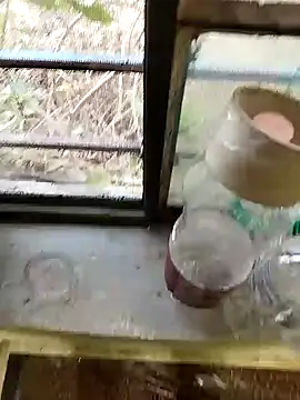 blackbeauty321 online show from 26, 2, 2026