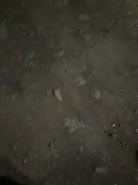 parth73637 online show from 23, 2, 2026