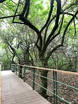 The Conquer online show from 10, 4, 2026