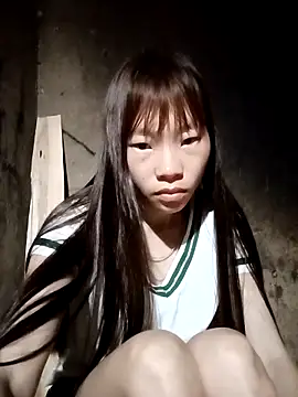 pic8800 online show from 4, 4, 2026