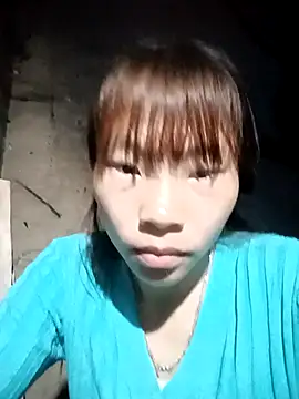 pic8800 online show from 17, 4, 2026