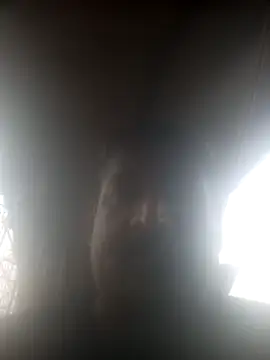 siva6703 online show from 7, 3, 2026