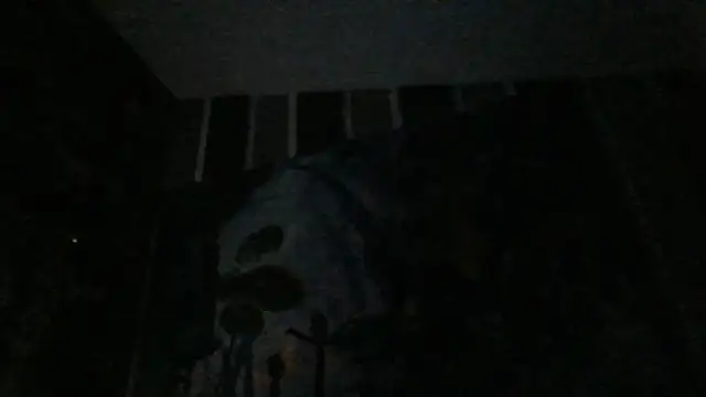 xoxchaarrxox online show from 26, 2, 2026