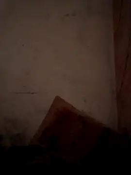 CoralN online show from 1, 4, 2026