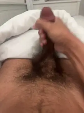 adhesivetn online show from 25, 3, 2026