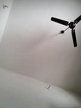 Rocky boy4 online show from 4, 3, 2026