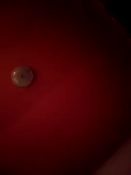 alexandruElena online show from 28, 2, 2026