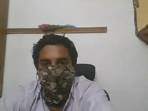 gregariouscarpet online show from 5, 5, 2026