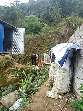 dualeo11 online show from 12, 3, 2026