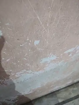 Tamillaxmi12 online show from 16, 4, 2026