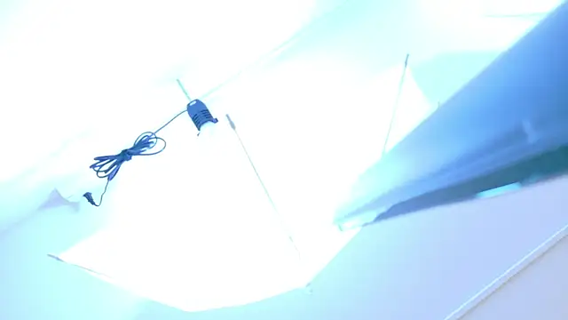 MeganVelvet  online show from 11, 4, 2026