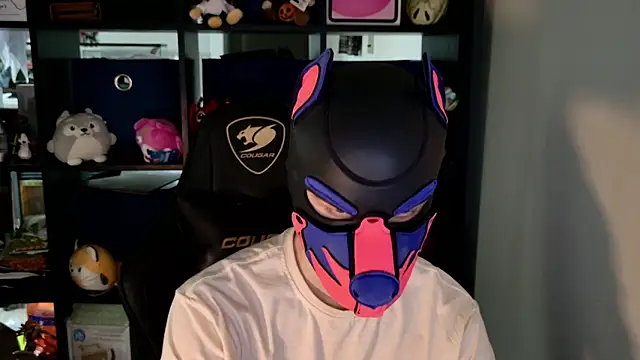 MellPUP online show from 9, 6, 2026