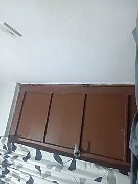 Snapshot of OpalineLineman chatting on 2, 3, 2026 OpalineLineman online show from 2, 3, 2026