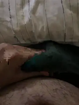 el sfaa7 online show from 10, 4, 2026