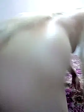 ZoeLakshmi online show from 8, 3, 2026