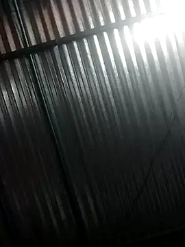 bombom 20 online show from 31, 3, 2026