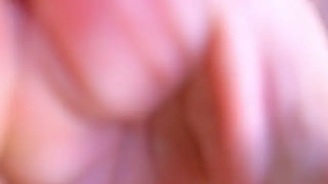 Jimmy Doss online show from 25, 4, 2026