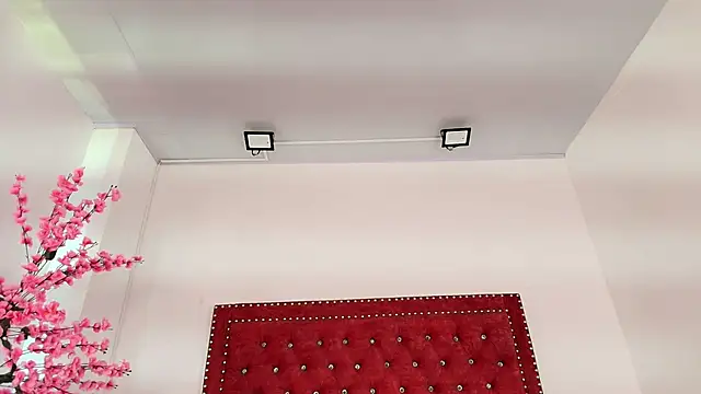 Daphne glas online show from 1, 4, 2026