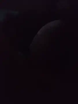 ediiihot69 online show from 29, 6, 2026