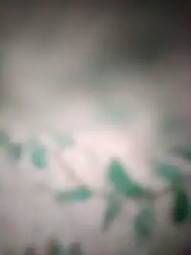 King night1 online show from 25, 3, 2026