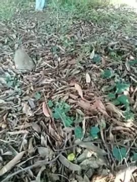 new sexy couple online show from 7, 4, 2026