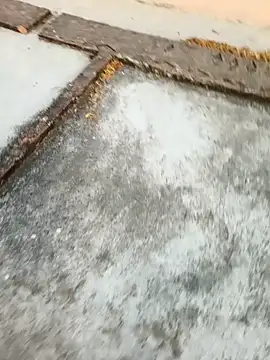 Snapshot of Desii_rockstarr chatting on 11, 3, 2026 Desii rockstarr online show from 11, 3, 2026