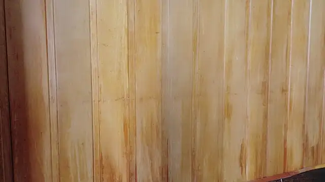 Eliffe jhonson online show from 16, 3, 2026