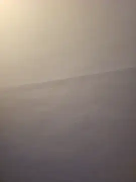 dufatcock online show from 22, 3, 2026