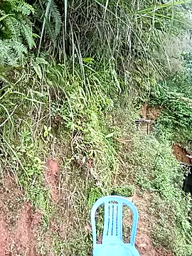 kalara kail online show from 24, 4, 2026