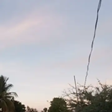 hotwife   br online show from 9, 4, 2026