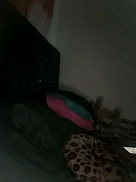 DamianDistroyer online show from 25, 3, 2026