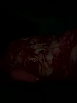 Snapshot of Dudu-me chatting on 20, 3, 2026 Dudu-me online show from 20, 3, 2026