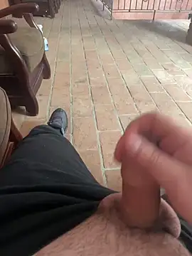 rolly2026 online show from 21, 3, 2026