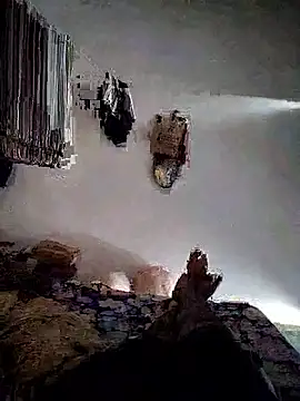 Snapshot of roselover2222 chatting on 29, 3, 2026 roselover2222 online show from 29, 3, 2026