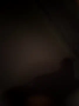 abdealrh online show from 22, 3, 2026