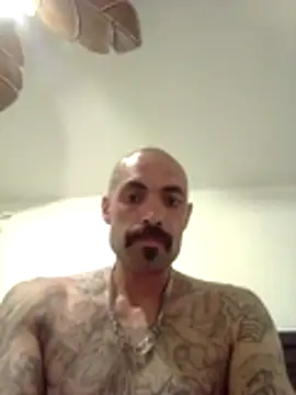 wesstfine online show from 19, 5, 2026