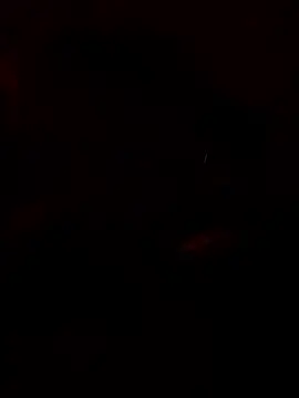 chefyahwan online show from 13, 4, 2026