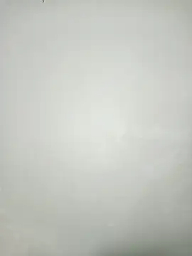 Rosesarem online show from 31, 3, 2026