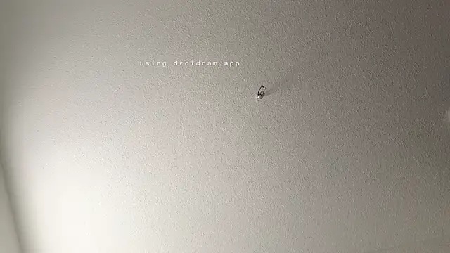 JasonXPascal online show from 6, 4, 2026