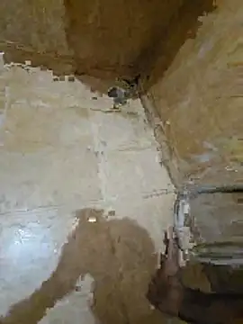 tamilpaiyan354 online show from 25, 4, 2026